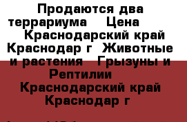 Продаются два террариума. › Цена ­ 2 300 - Краснодарский край, Краснодар г. Животные и растения » Грызуны и Рептилии   . Краснодарский край,Краснодар г.